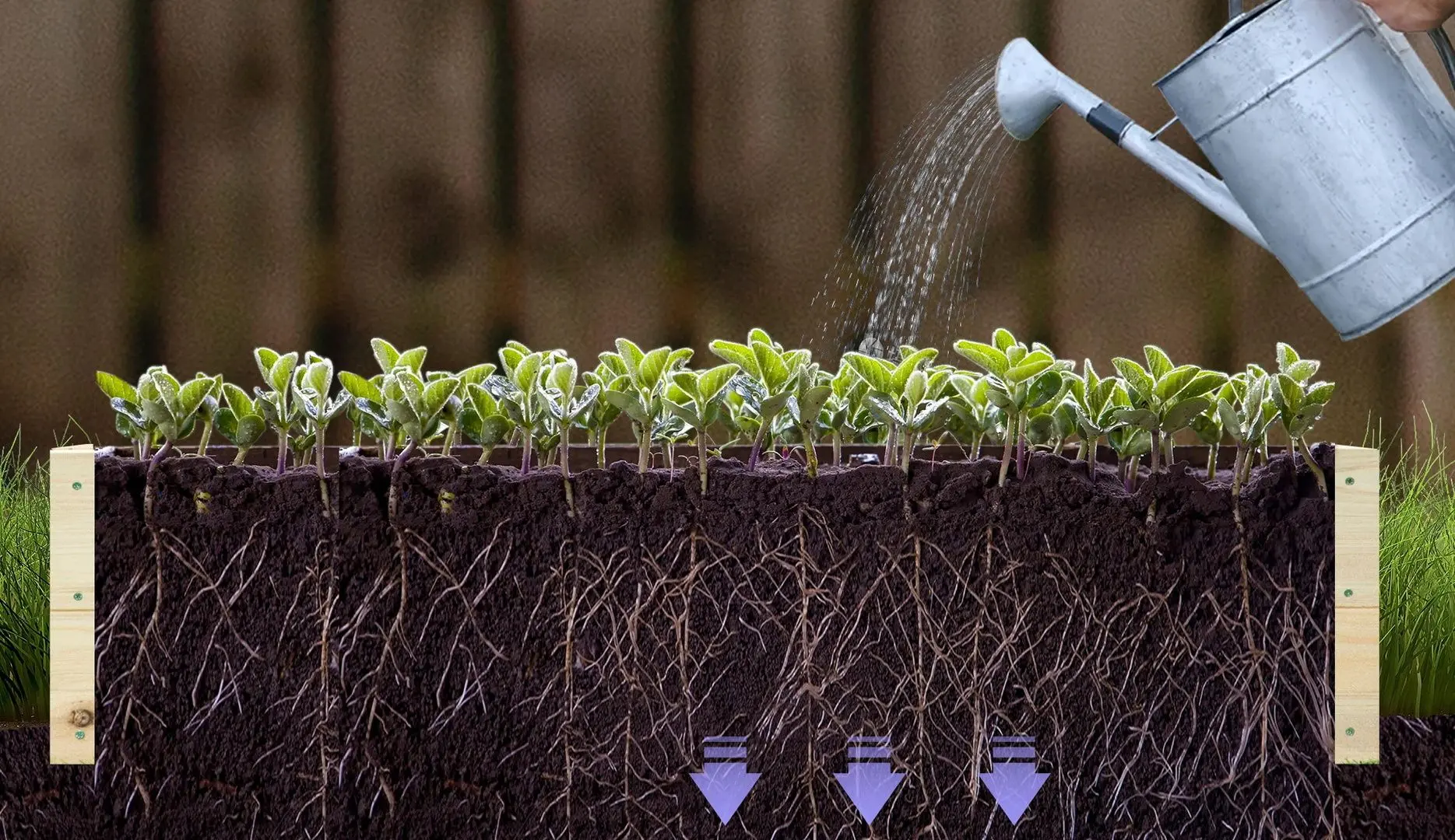 Приподнятая садовая грядка Outsunny 845-580 (Natural) - 4