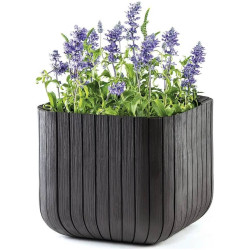 Горшок Keter Cube Planter S (Anthracite) Thumb