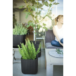 Горшок Keter Cube Planter S (Anthracite) Thumb