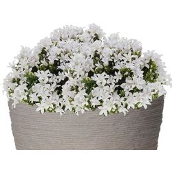 Ghiveci Progarden Cone 40x31cm (Black) Thumb