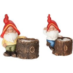 Ghiveci ProGarden Dwarf 32x17x27cm Thumb