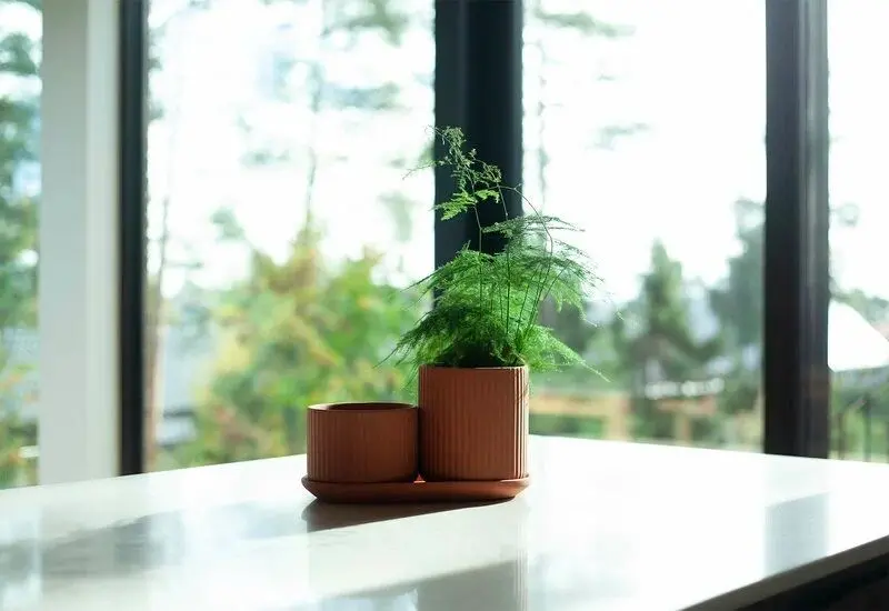 Горшок ProGarden Greek style 18cm (Brown) - 3