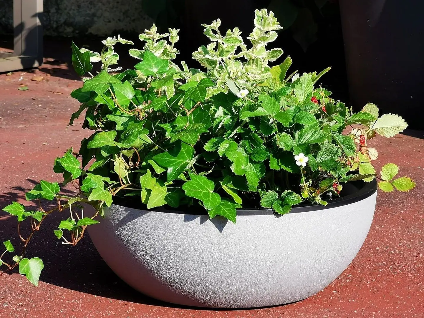 Горшок ProGarden Hemisphere 40x16cm (Anthracite) - 3