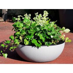Ghiveci Progarden Hemisphere 40x16cm (Light Grey) Thumb