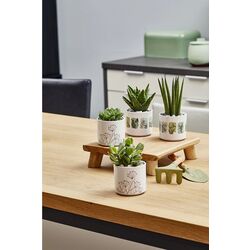 Ghiveci Progarden Herbs 14x12.5cm (White) Thumb