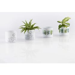 Ghiveci Progarden Herbs 14x12.5cm (White) Thumb