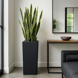 Горшок Progarden Parallelepiped 55345 30x30x80 (Black) Thumb