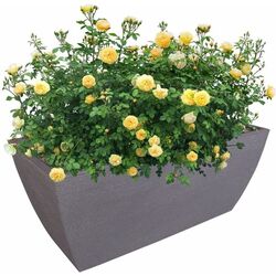 Ghiveci Progarden Pyramid trunk 80x40x34cm (Grey) Thumb