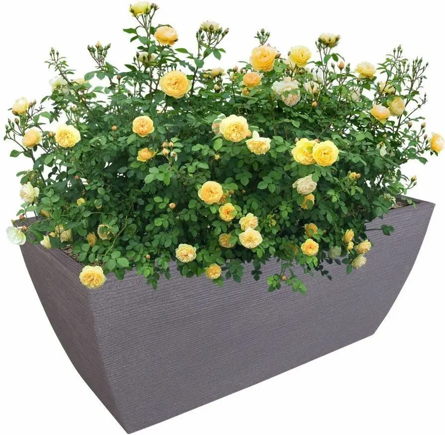 Ghiveci Progarden Pyramid trunk 80x40x34cm (Grey) - 2