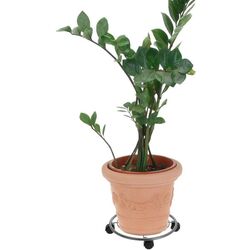 Suport pentru flori Progarden 31067 35cm (Grey) Thumb
