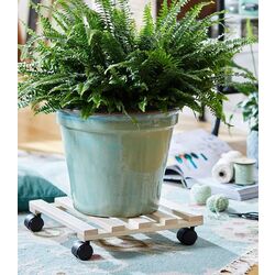 Suport pentru flori Progarden 24814 35x35cm (Natural) Thumb