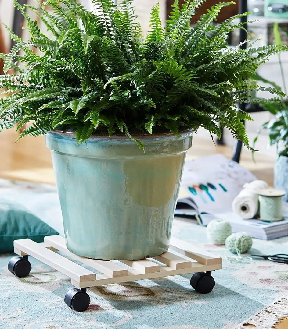 Suport pentru flori Progarden 24814 35x35cm (Natural)