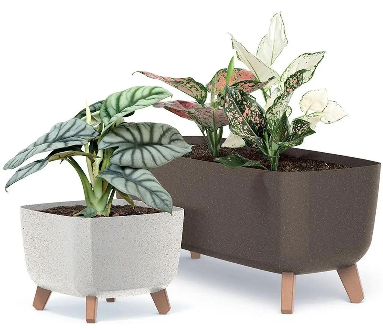 Ghiveci Prosperplast Gracia Square Eco Wood 24x24 (Cofee)