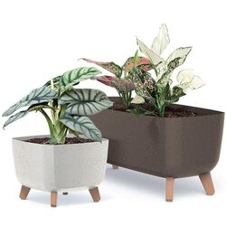 Ghiveci Prosperplast Gracia Square Eco Wood 29x29 (Cofee) Thumb