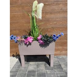 Ghiveci Prosperplast Rato Case High (Mocha) Thumb