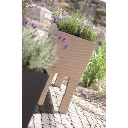 Ghiveci Prosperplast Rato Case High (Mocha) Thumb