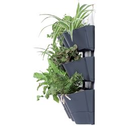 Set ghiveciuri pentru flori Prosperplast 289915 (Anthracite) Thumb