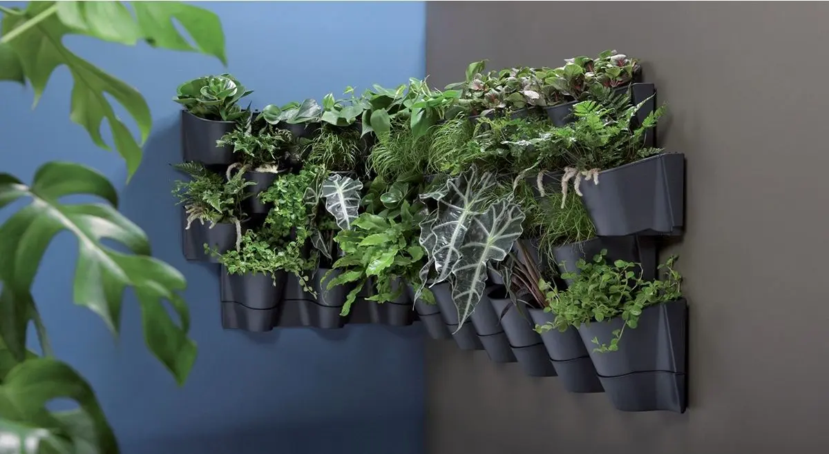 Set ghiveciuri pentru flori Prosperplast 289915 (Anthracite)