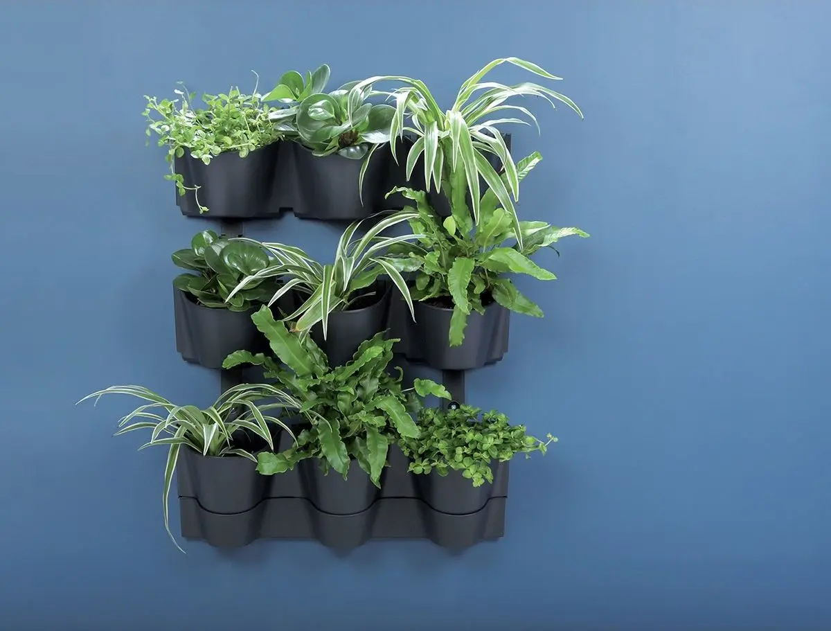 Set ghiveciuri pentru flori Prosperplast 289915 (Anthracite)