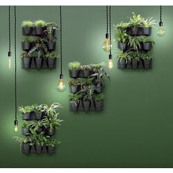 Set ghiveciuri pentru flori Prosperplast 289915 (Anthracite) Thumb