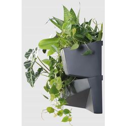 Set ghiveciuri pentru flori Prosperplast 289922 (Grey) Thumb