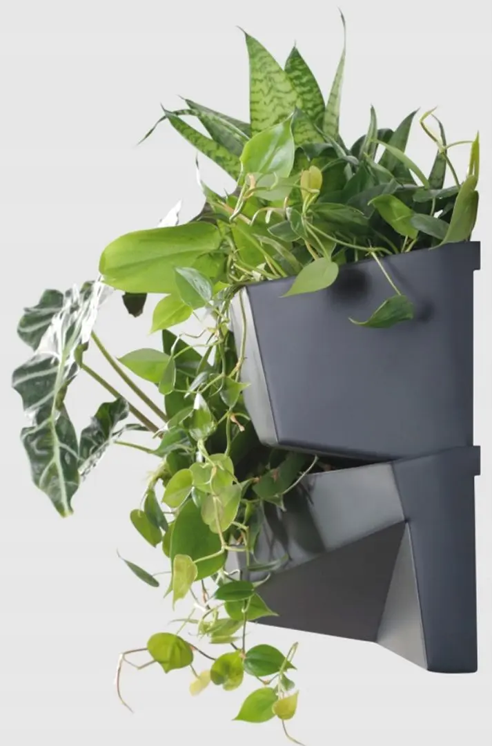 Set ghiveciuri pentru flori Prosperplast 289922 (Grey)