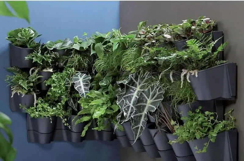 Набор цветочных горшков Prosperplast Cascade Wall (Anthracite)