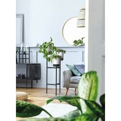 Подставка для цветов Prosperplast Bloomie Stand 7475240 (Grey/Black) Thumb