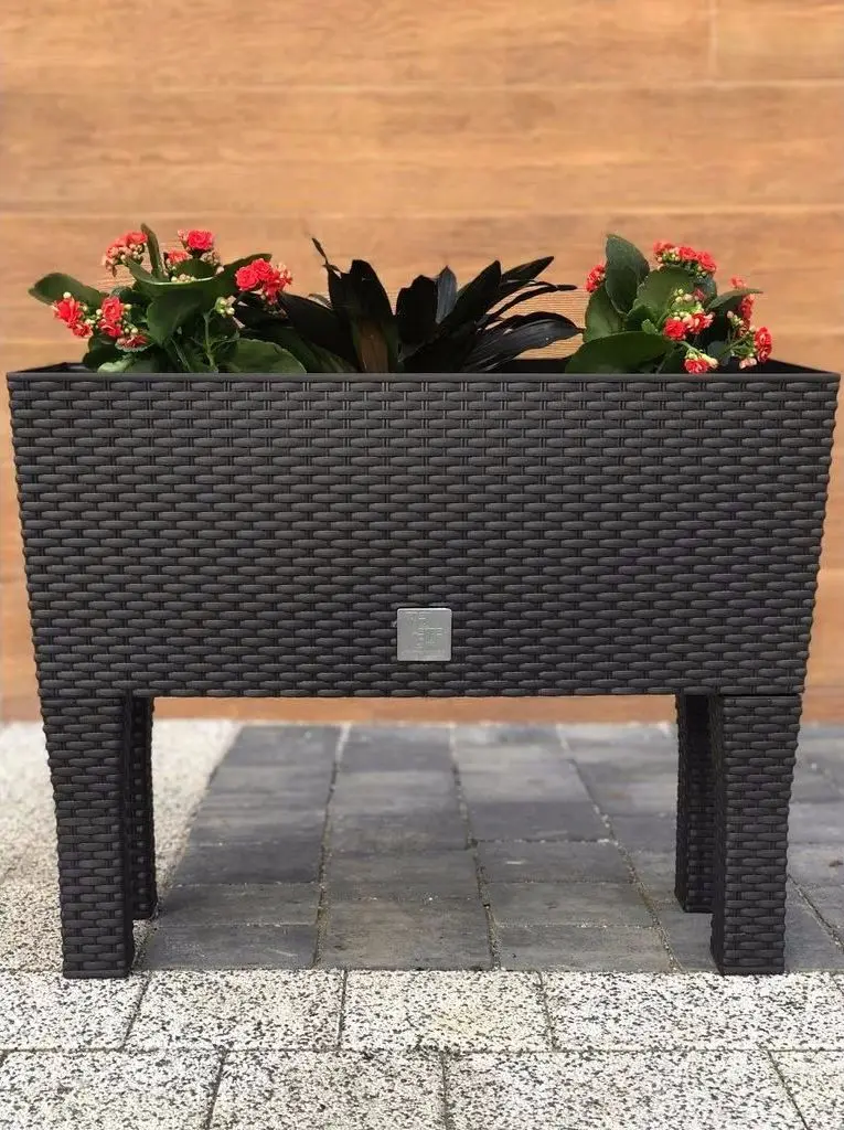 Ящик Prosperplast Rato Case High DRTC600H-S433 (Anthracite)