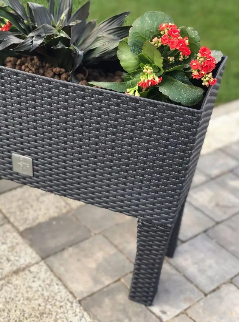 Ящик Prosperplast Rato Case High DRTC600H-S433 (Anthracite)