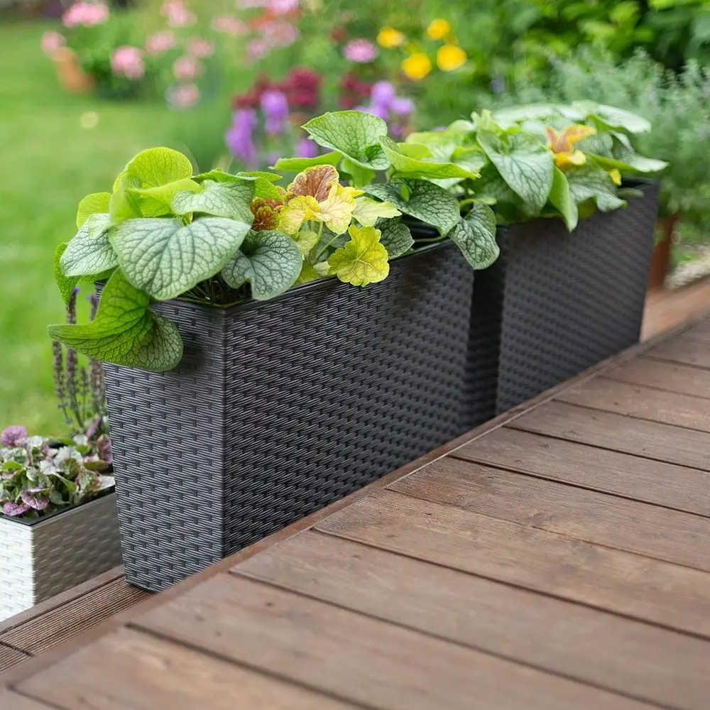 Ящик Prosperplast Rato Case T DRC600T-S433 (Anthracite)