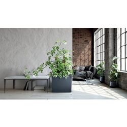 Ящик Prosperplast Urbi Case (White) Thumb