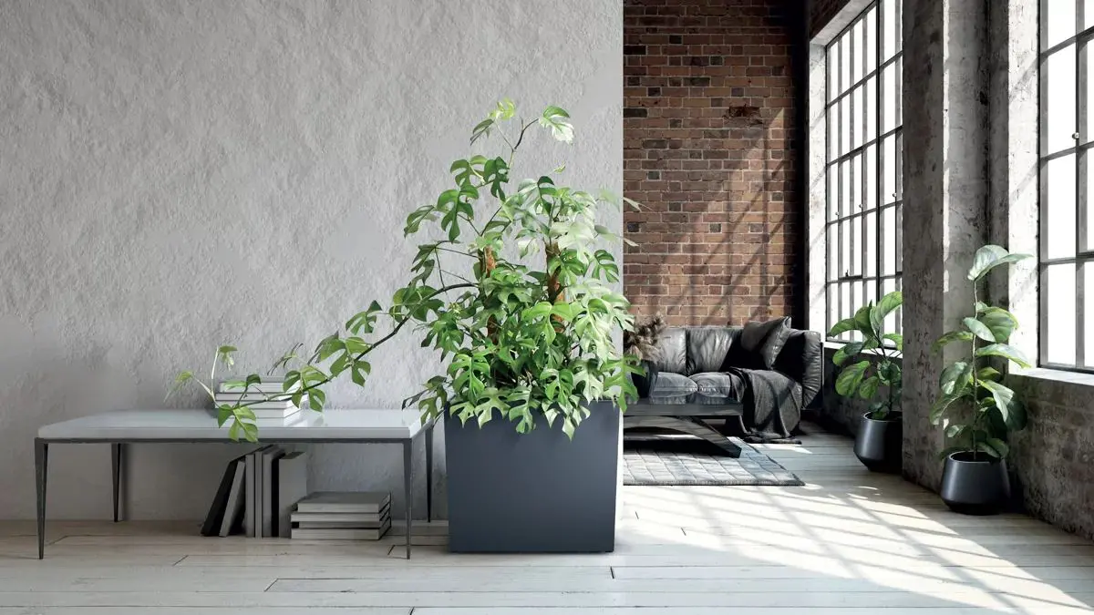 Ящик Prosperplast Urbi Case (White)