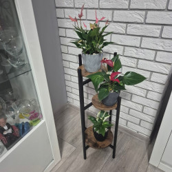 Стеллаж для цветов Ruhhy 25627 (Black/Brown) Thumb
