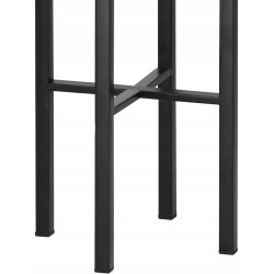 Подставка для цветов Springos Comet GA0196 (Black) Thumb