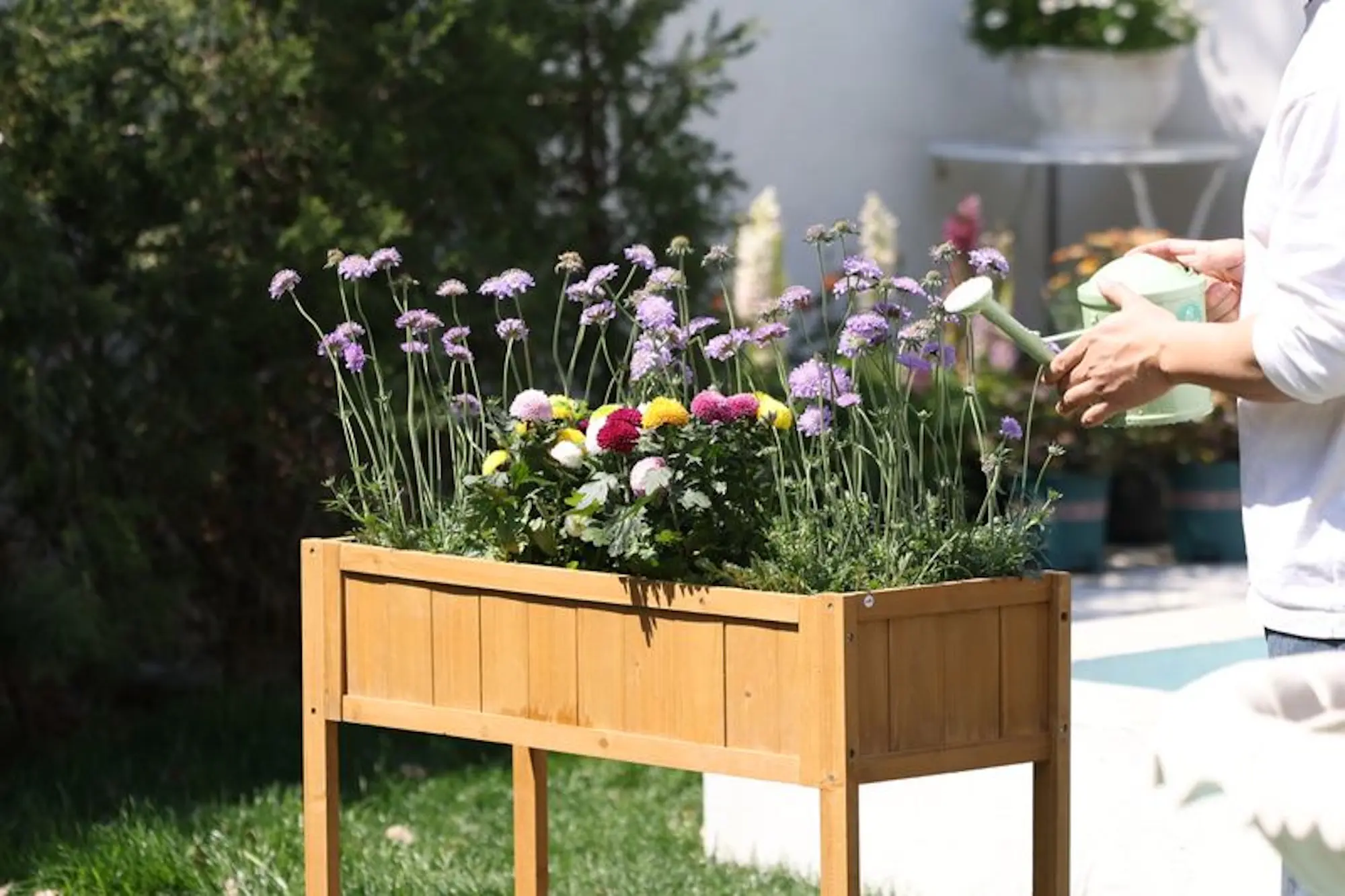 Pat de gradina inaltat Strend Pro Garden 2213025 (Wood) - 3