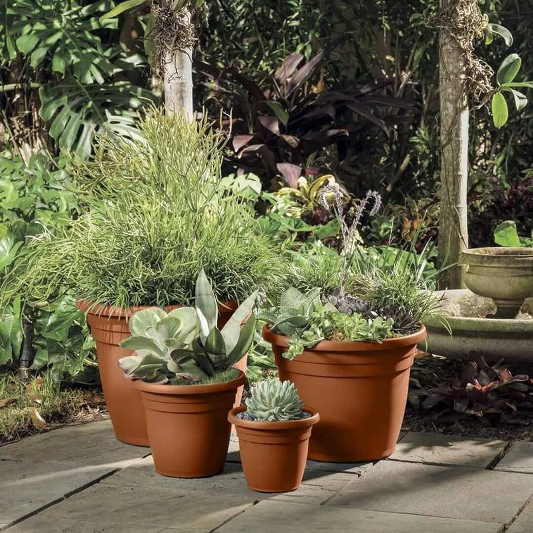 Ghiveci Tontarelli Tullipan (Brown) - 2