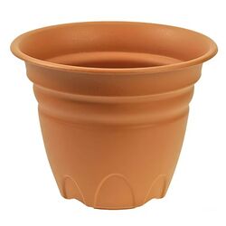 Ghiveci Tontarelli Tullipan (Brown)