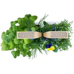 Jardiniera smart Veritable VPOTBAWMGA12 (White) Thumb