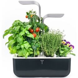 Jardiniera smart Veritable VPOTSSBASA4 (Black) Thumb