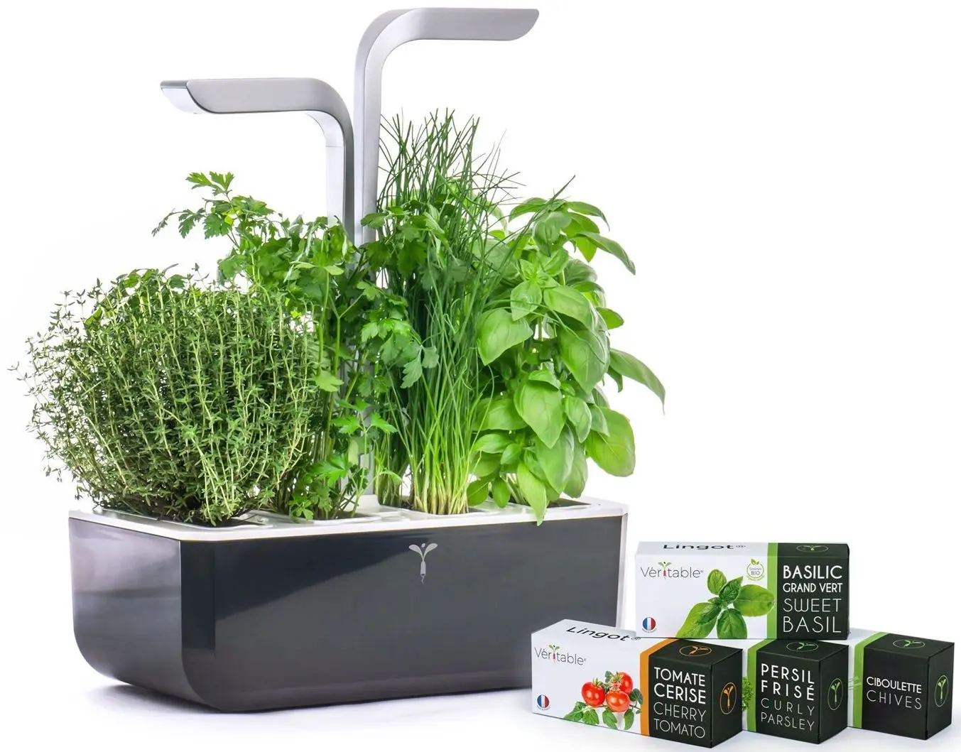 Jardiniera smart Veritable VPOTSSBASA4 (Black) - 4