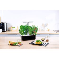 Jardiniera smart Veritable VPOTSSBASA4 (Black) Thumb