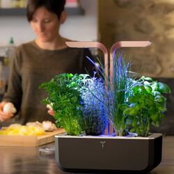 Умный горшок Veritable VPOTSSBCOA5 (Black) Thumb