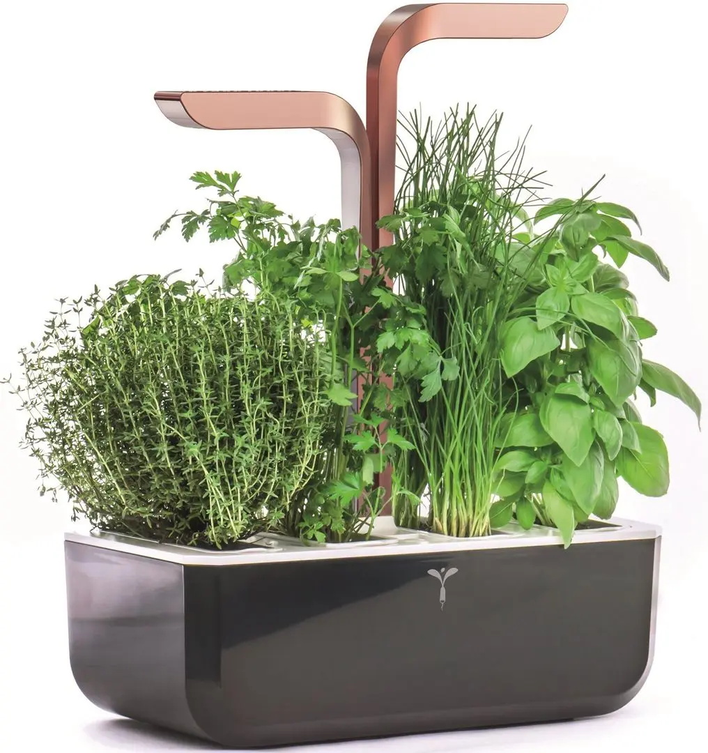 Умный горшок Veritable VPOTSSBCOA5 (Black) - 3