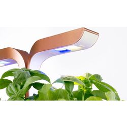 Умный горшок Veritable VPOTSSBCOA5 (Black) Thumb