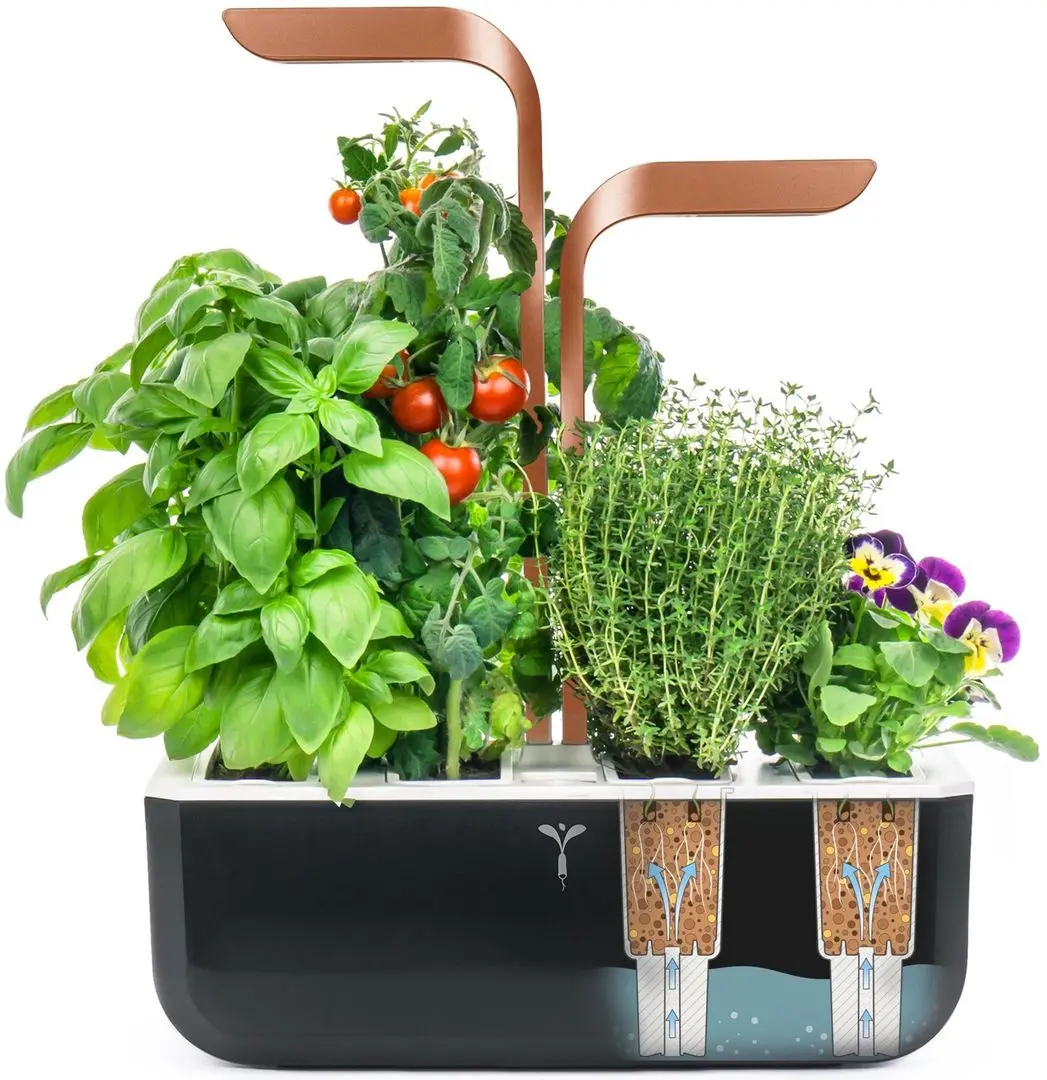 Умный горшок Veritable VPOTSSBCOA5 (Black) - 6