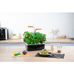 Умный горшок Veritable VPOTSSBCOA5 (Black) Thumb