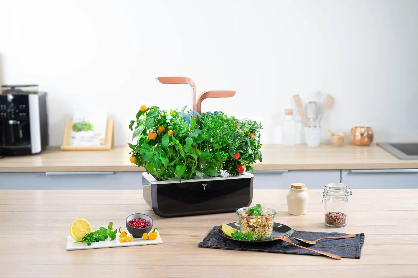 Умный горшок Veritable VPOTSSBCOA5 (Black) - 10