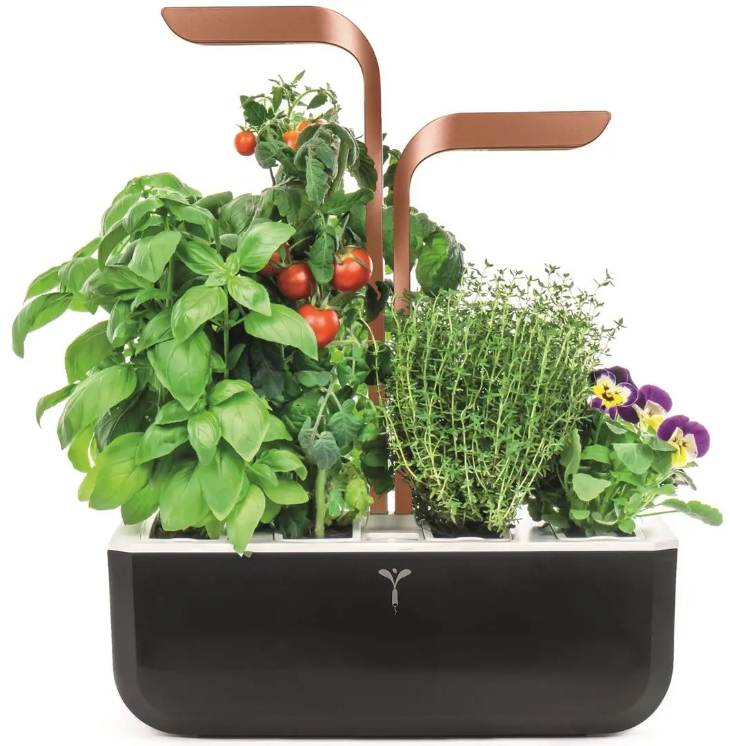 Умный горшок Veritable VPOTSSBCOA5 (Black)