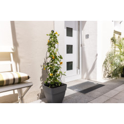 Опора для растений Windhager Obelisc 07638 (Black) Thumb